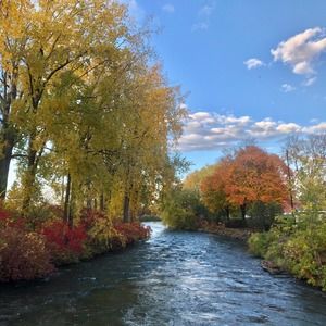 Meet your Posher, Donna